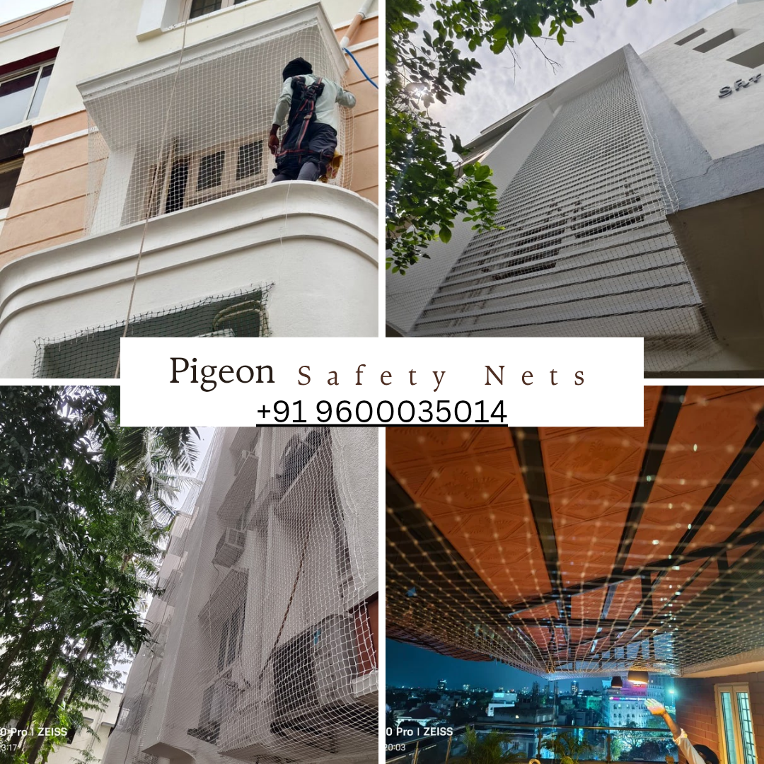 Pigeon Safety Nets
